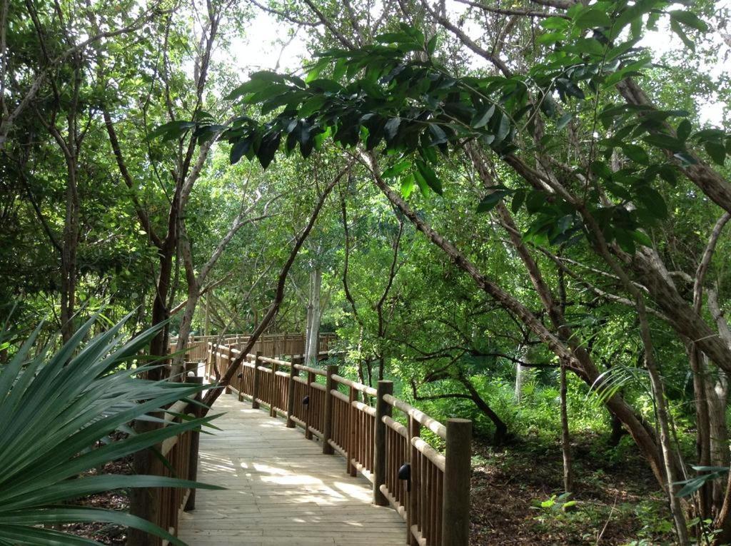 Mayan Palace Vidanta Resort Riviera Maya Puerto Morelos Extérieur photo